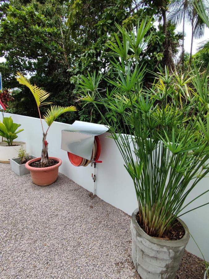 Riverside Mount Simpson - Seychelles Island Beau Vallon  Εξωτερικό φωτογραφία