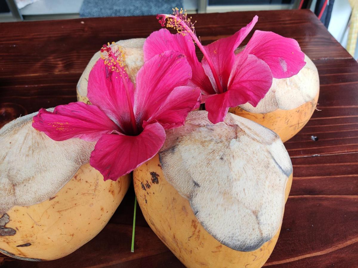 Riverside Mount Simpson - Seychelles Island Beau Vallon  Εξωτερικό φωτογραφία