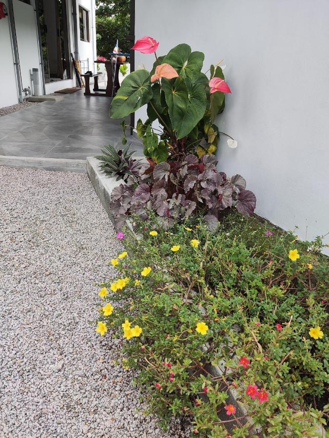 Riverside Mount Simpson - Seychelles Island Beau Vallon  Εξωτερικό φωτογραφία
